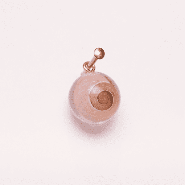 Pendant Snail Shell