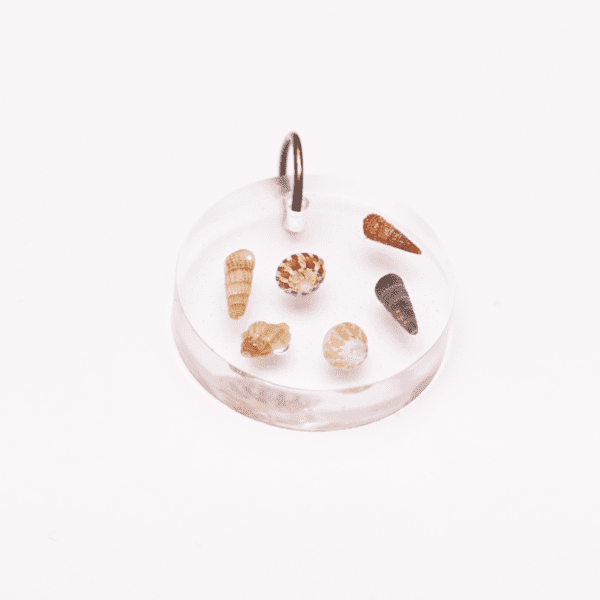 Pendant Shell - Image 2