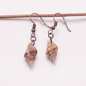 Earrings Shell