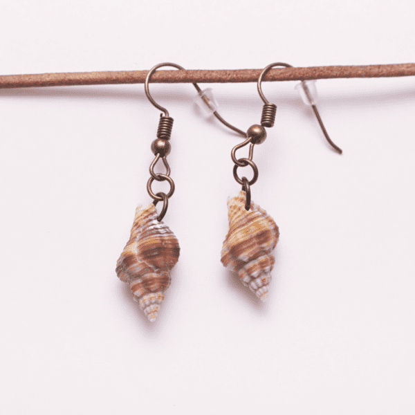 Earrings Shell